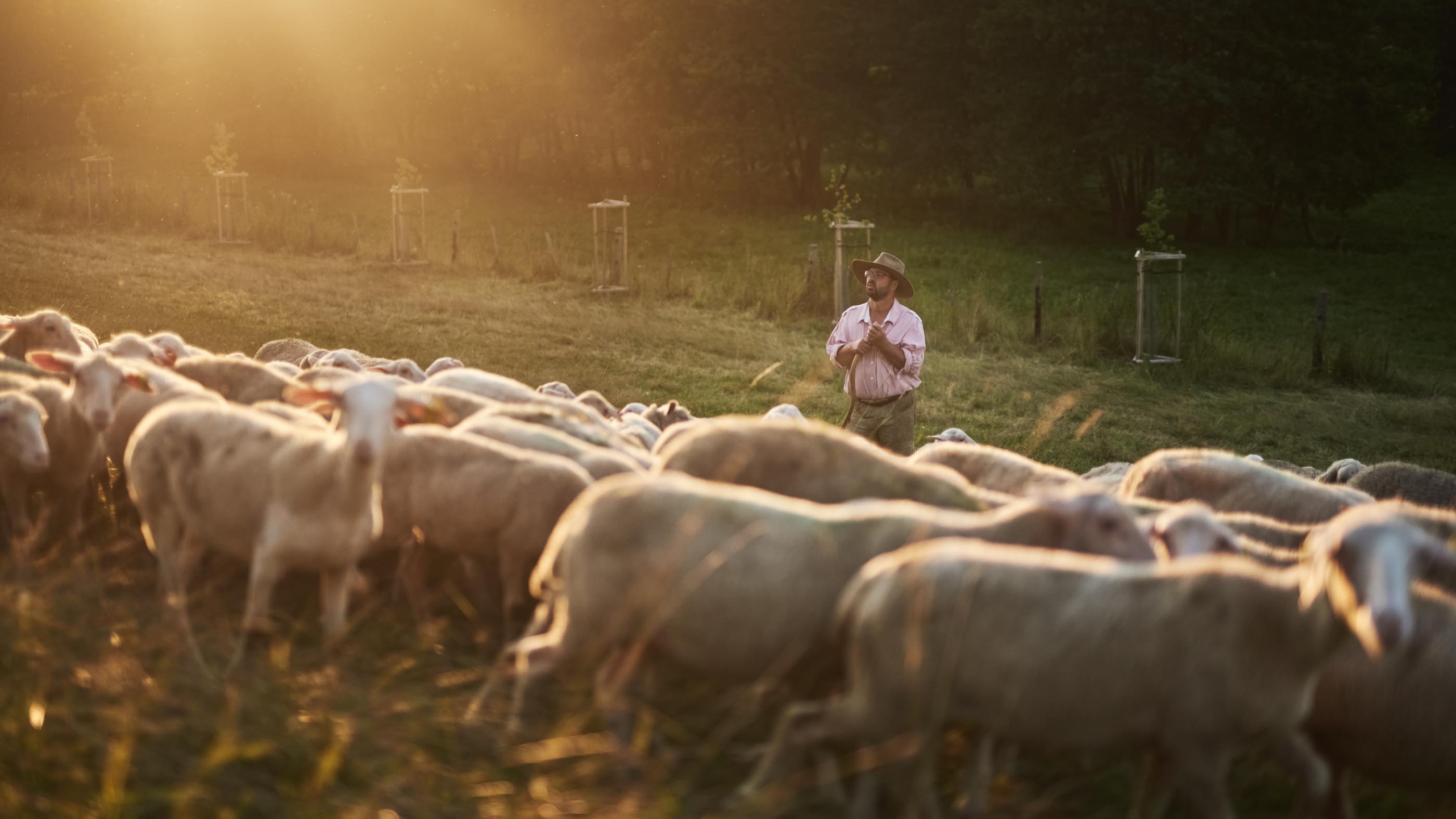 sustainable agriculture