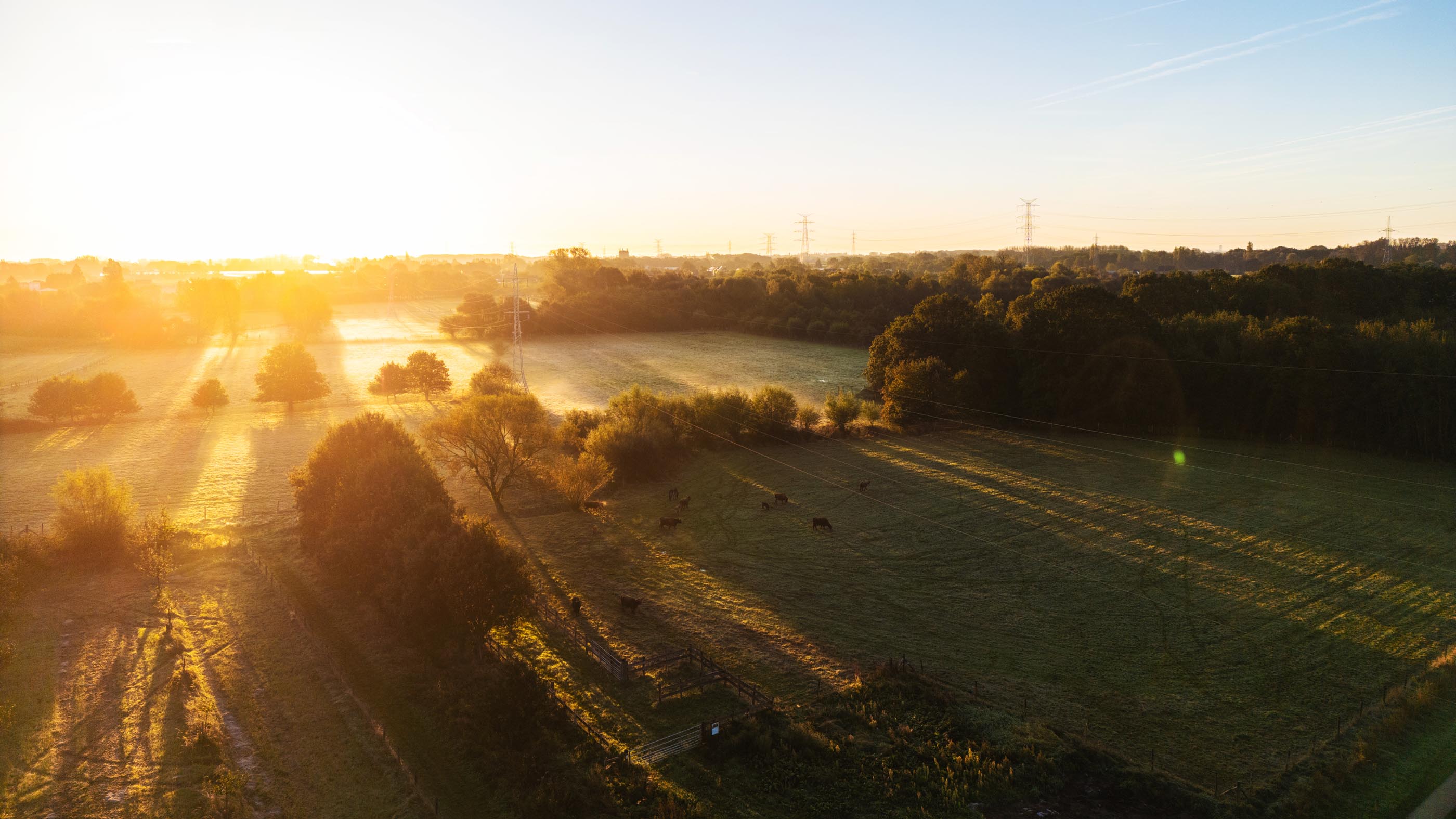 sustainable agriculture