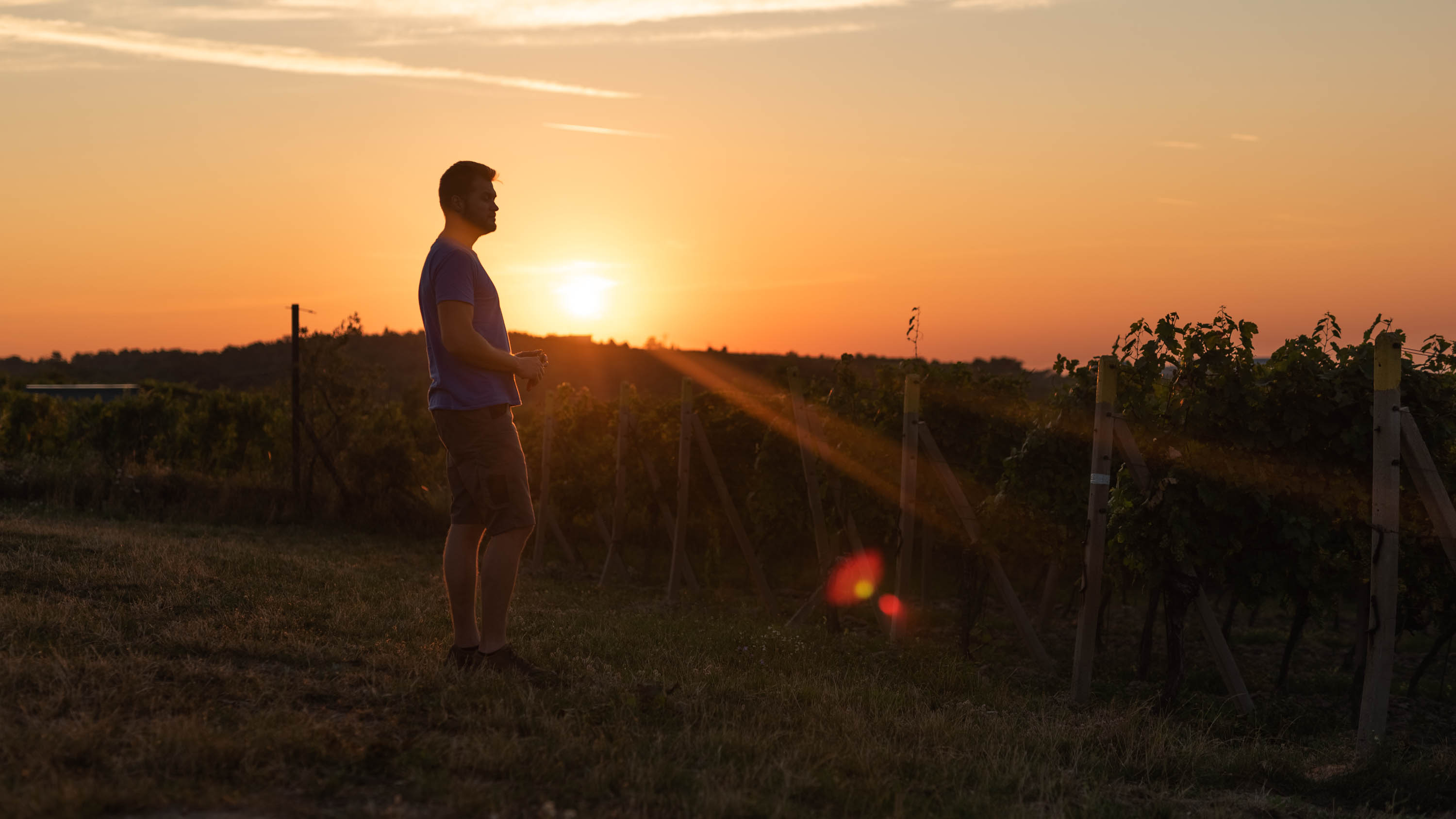 Winemakers Little Carpathians in Slovakia