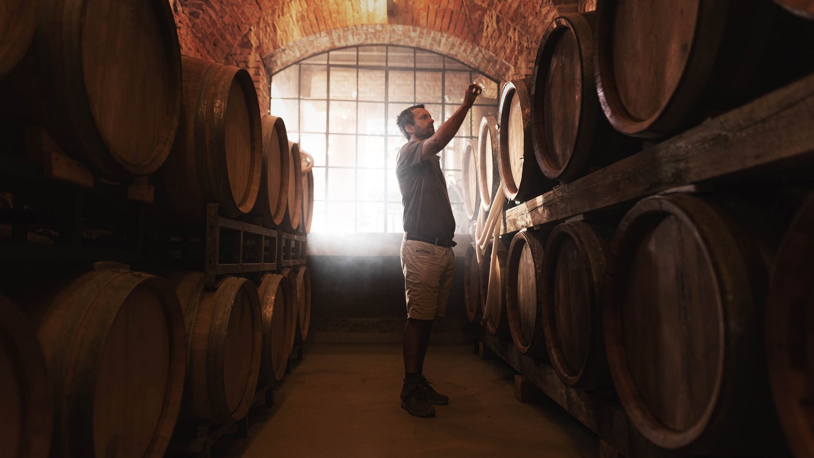 Winemakers Little Carpathians in Slovakia