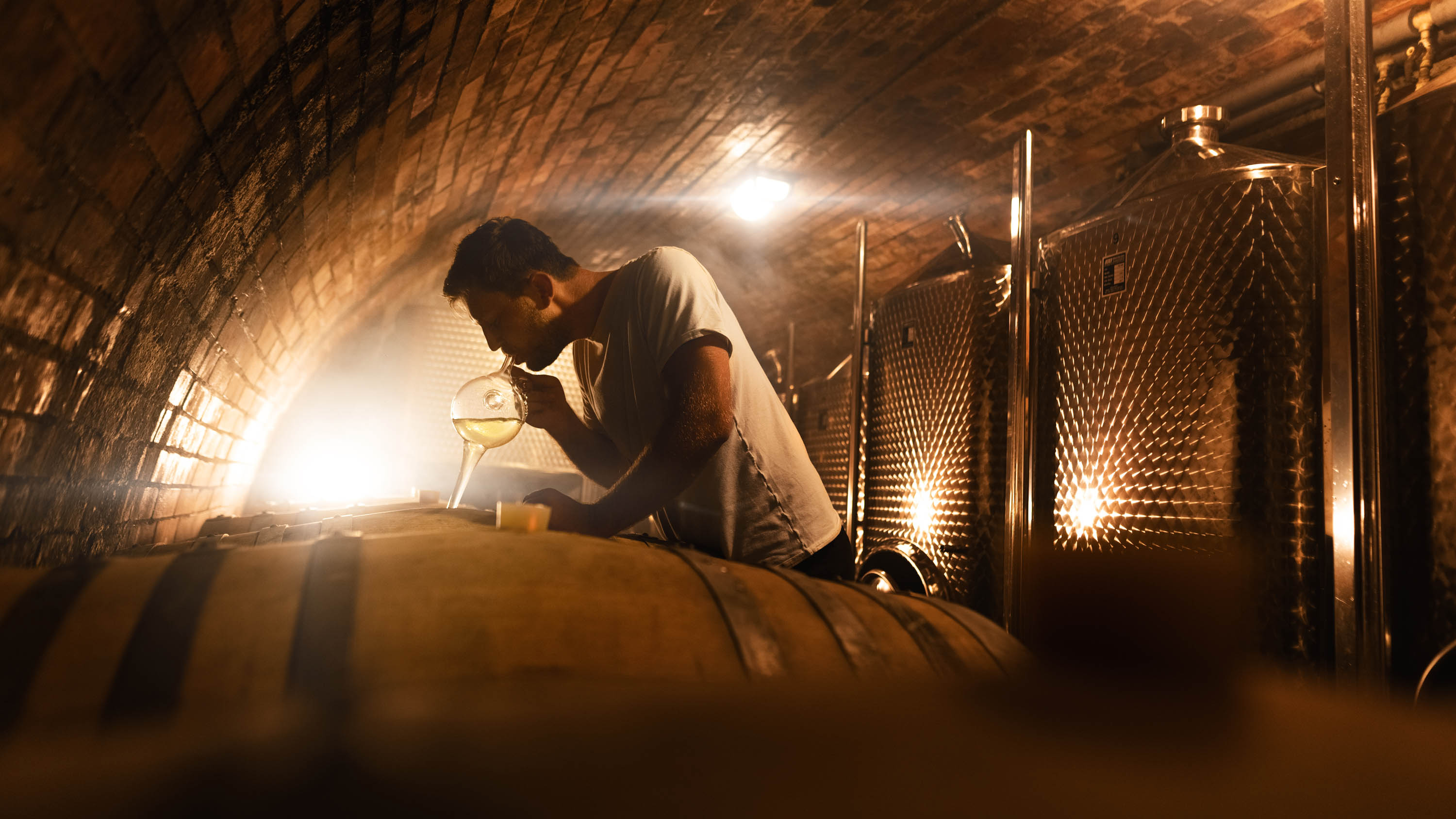 Winemakers Little Carpathians in Slovakia